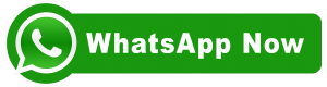 Looking for Accounting Services? Whatsapp Us